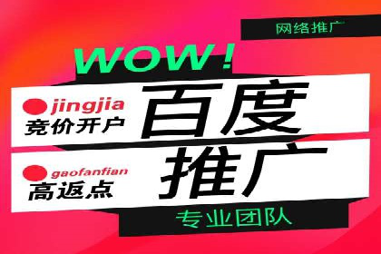 百度竞价赚钱的实战案例分析